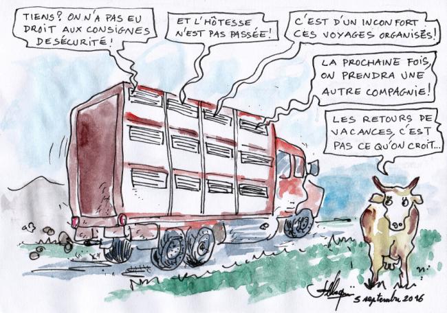 Camion du retour