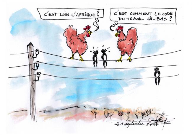 L afrique