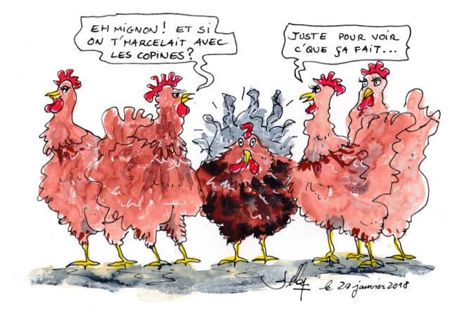 L harcelement