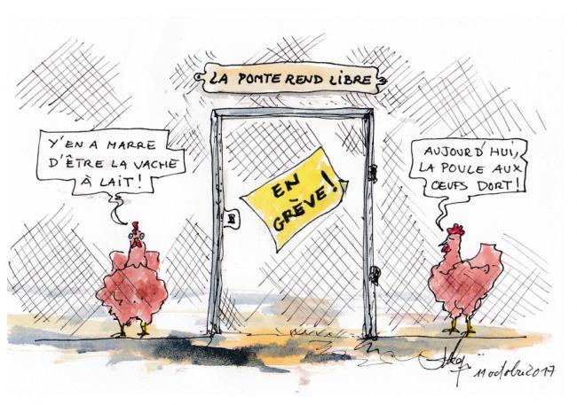 La greve