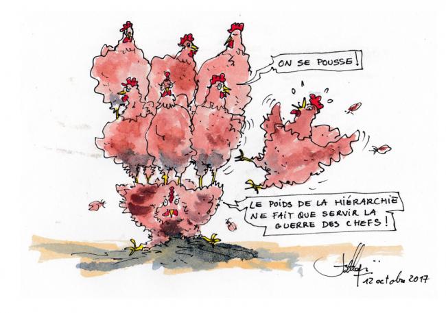La hierarchie 3