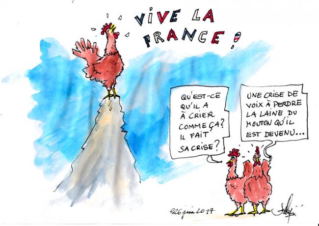 La laine