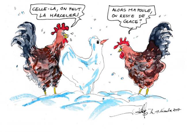 La poule de neige