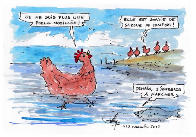 La poule mouillee