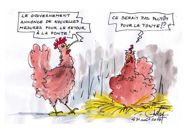 La tonte