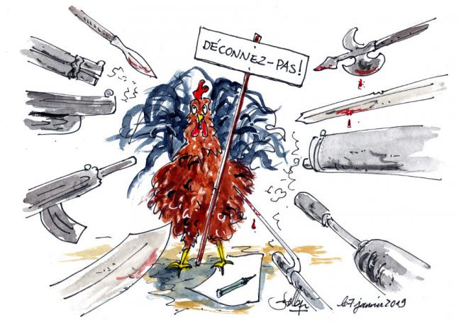Le 7 janvier 2019