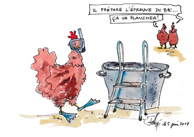 Le bac