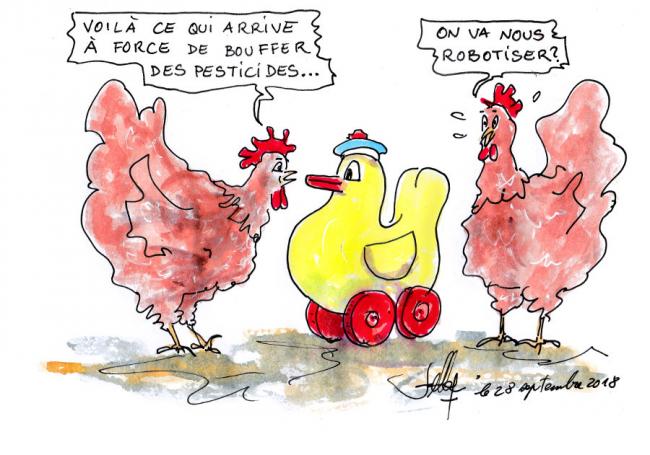 Le canard