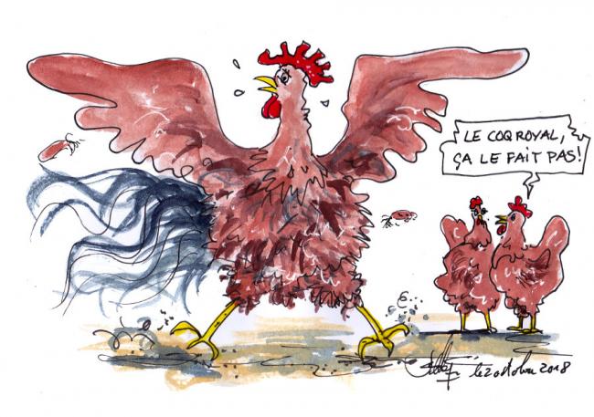 Le coq royal