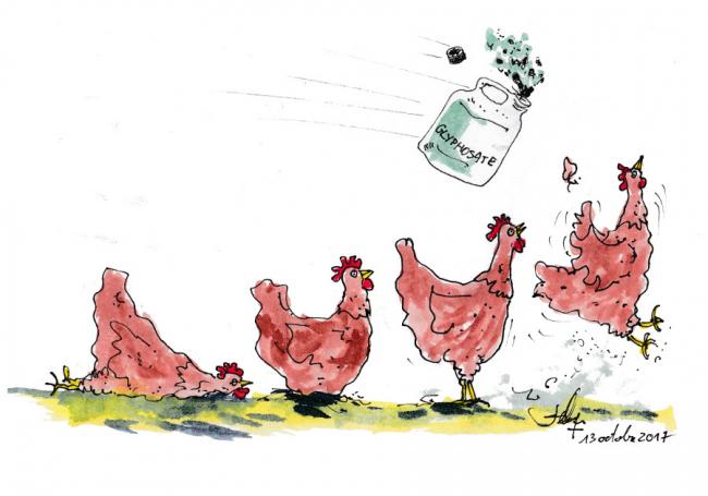 Le glyphosate