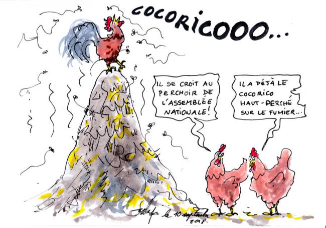 Le perchoir 1
