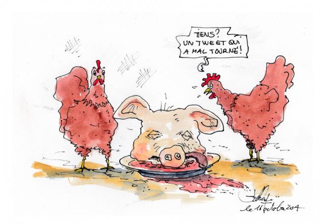 Le porc