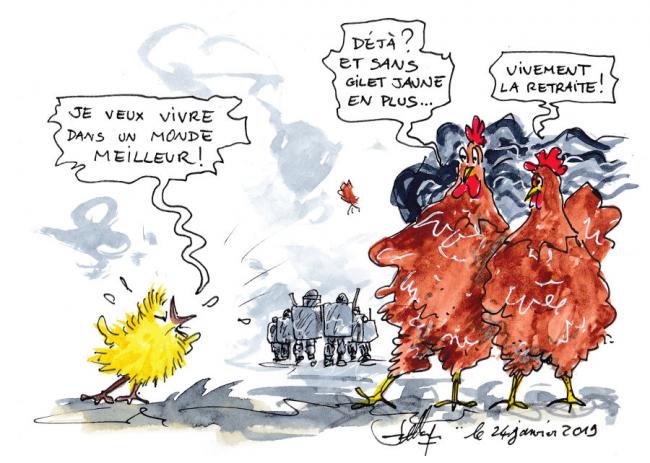 Le poussin