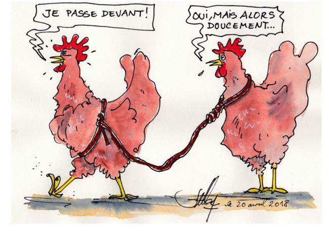 Le premier de cordee