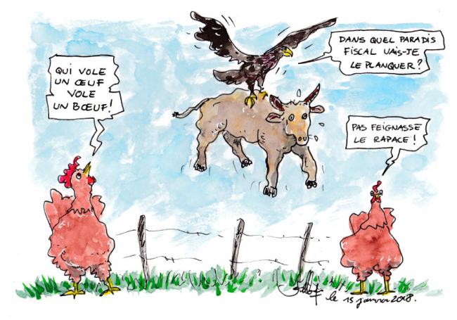 Le rapace