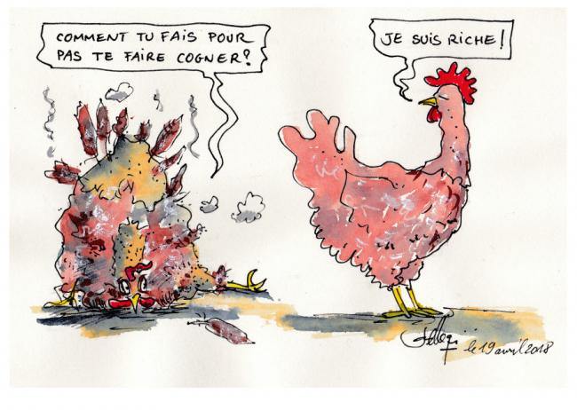 Les coups