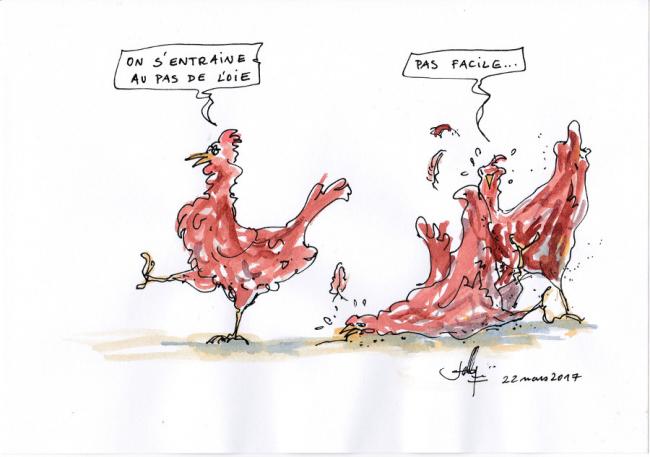 Pas de l'oie
