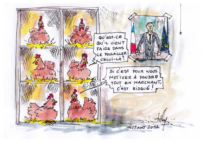 Pendant la ponte