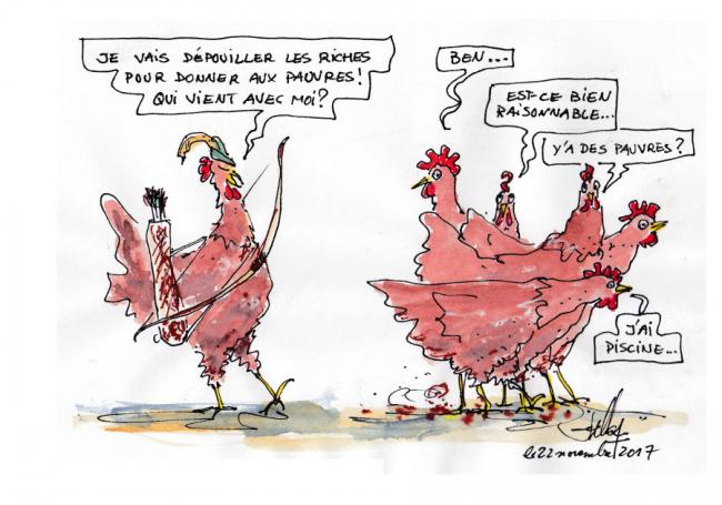 Robin poule