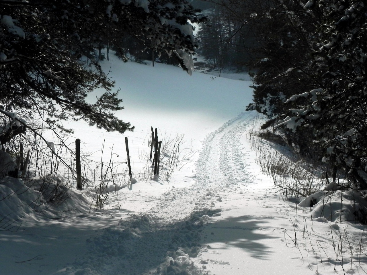 Blanc chemin