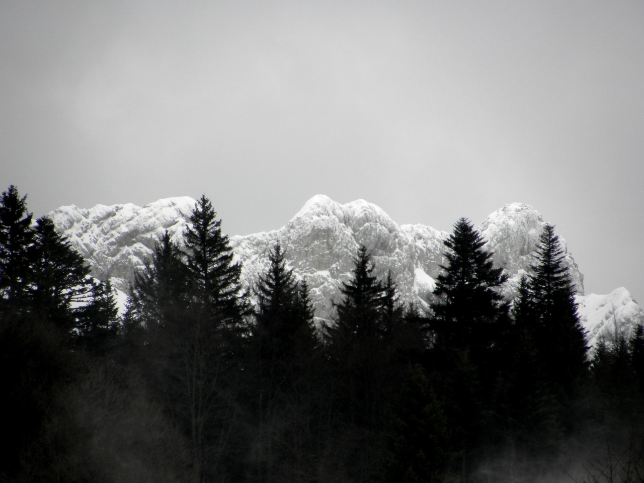 Sucre glace au sommet