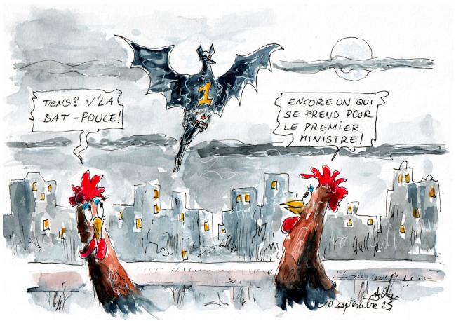 Bat poule