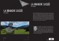 La branche cassee 1