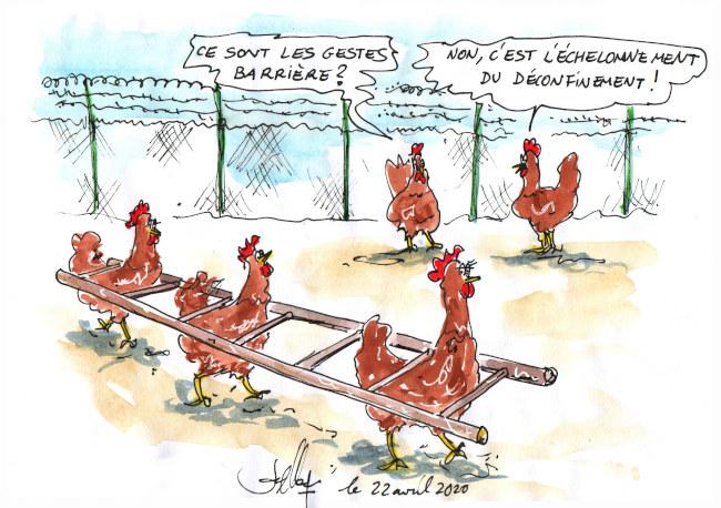 Le cadencement