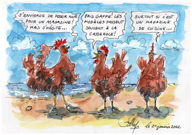 Le magazine